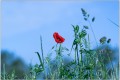 img_9849 01